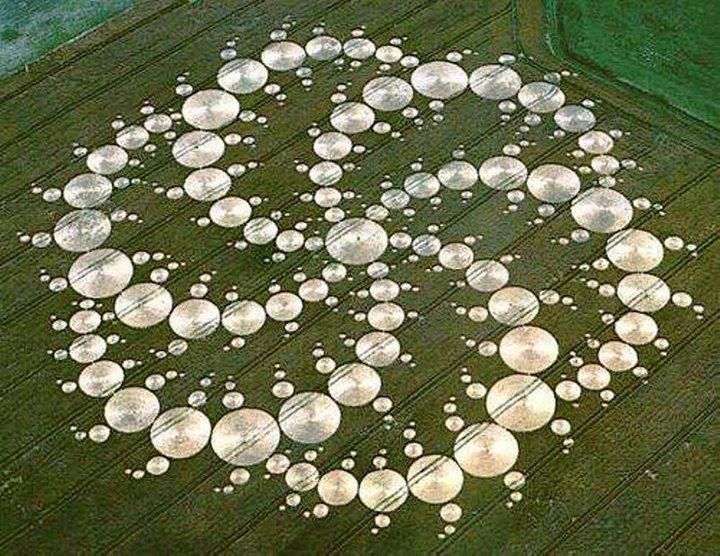 Cerchio nel grano di 90mila m² (9 campi di calcio), comparso il 14 agosto 2001 a Milk Hill, Wiltshire. Ha una struttura frattale in progressione di Fibonacci e spirale aurea